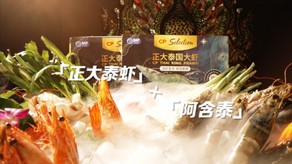 正大X阿含泰食品宣传片_北京凯玛-宣传片拍摄制作公司-专业宣传片拍摄,企业宣传片,宣传片制作