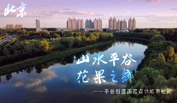 北京森林城市创建申报宣传片_北京凯玛-宣传片拍摄制作公司-专业企业宣传片、TVC广告片、​纪录片、视频​​拍摄制作